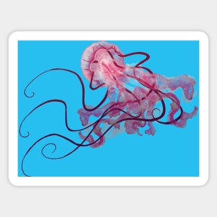 Jellyfish Swim Sticker